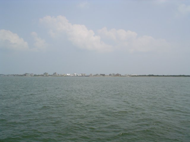 ferryview02.jpg